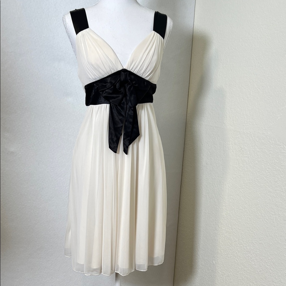 SPEACHLESS
Chic Black and Cream Mini Dress
